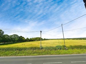 Photo 13- click for photo gallery